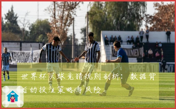 世界杯买球竞猜规则剖析：数据背后的投注策略与风险