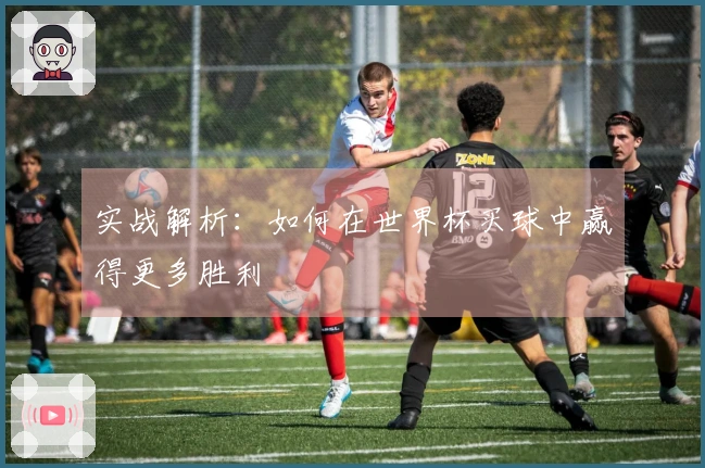 实战解析：如何在世界杯买球中赢得更多胜利