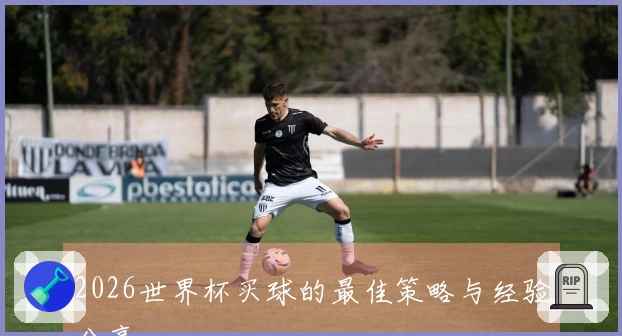 2026世界杯买球的最佳策略与经验分享