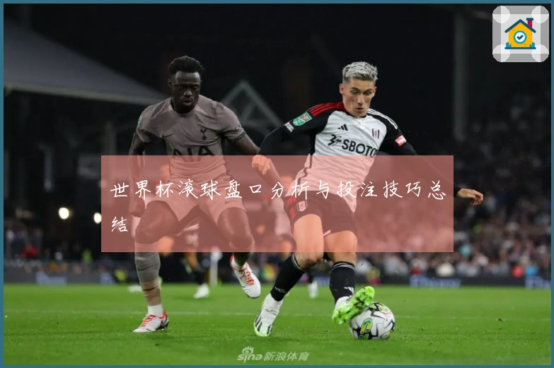 世界杯滚球盘口分析与投注技巧总结