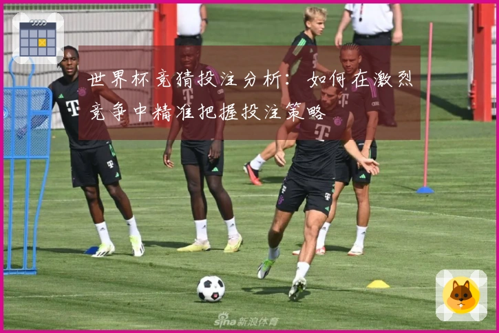 世界杯竞猜投注分析：如何在激烈竞争中精准把握投注策略