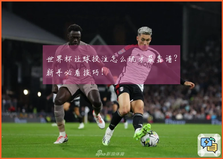世界杯让球投注怎么玩才最靠谱？新手必看技巧！