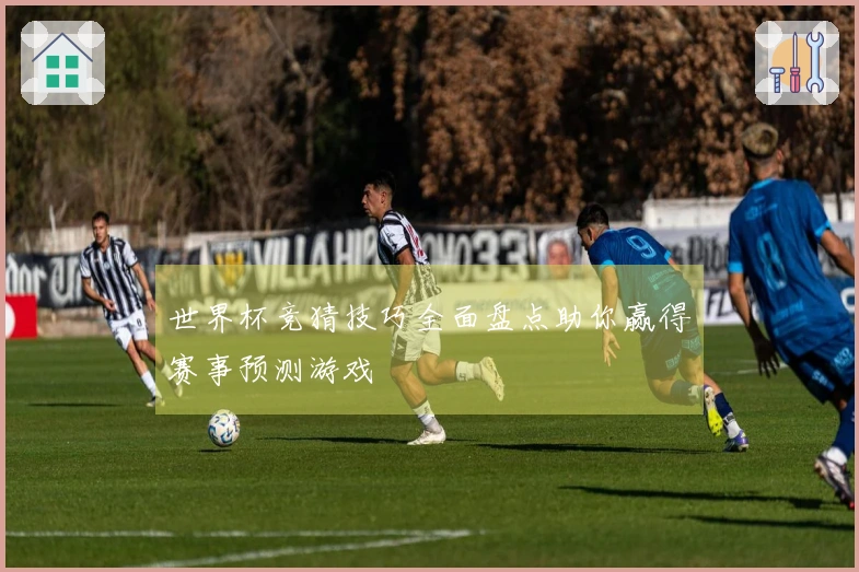 世界杯竞猜技巧全面盘点助你赢得赛事预测游戏