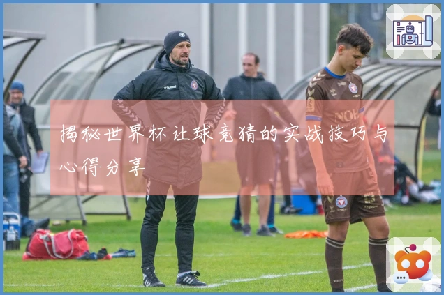 揭秘世界杯让球竞猜的实战技巧与心得分享
